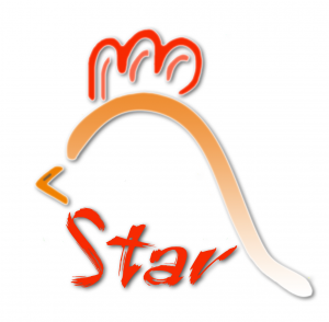 Supplier Ayam Surabaya - UD Star