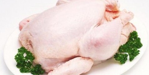 keunggulan daging ayam terhadap daging lain